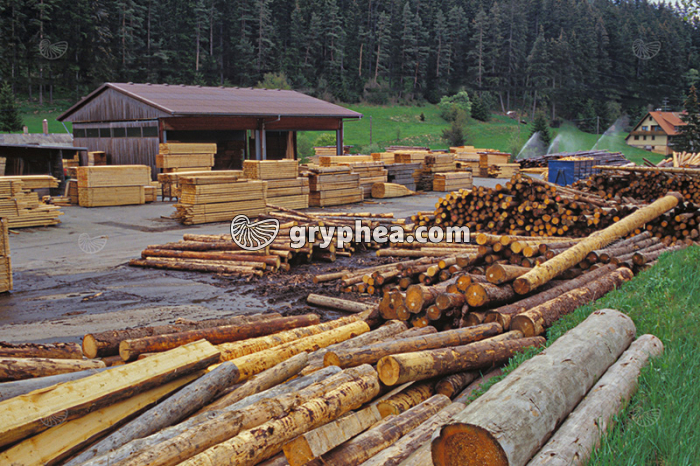 Le bois, ressource naturelle - extrait - gryphea.com